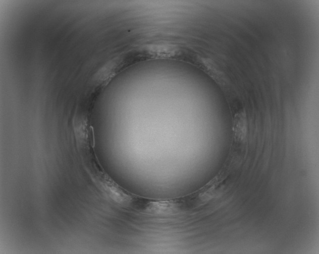 X0000068320713200604211205