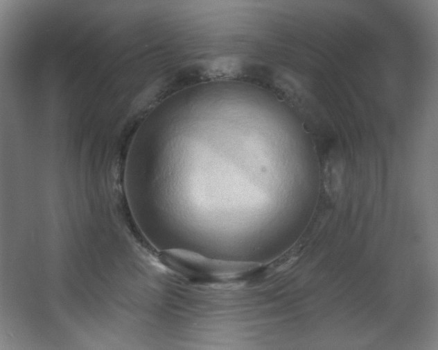 X0000068320714200604211205