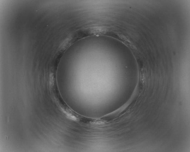 X0000068320716200604211205