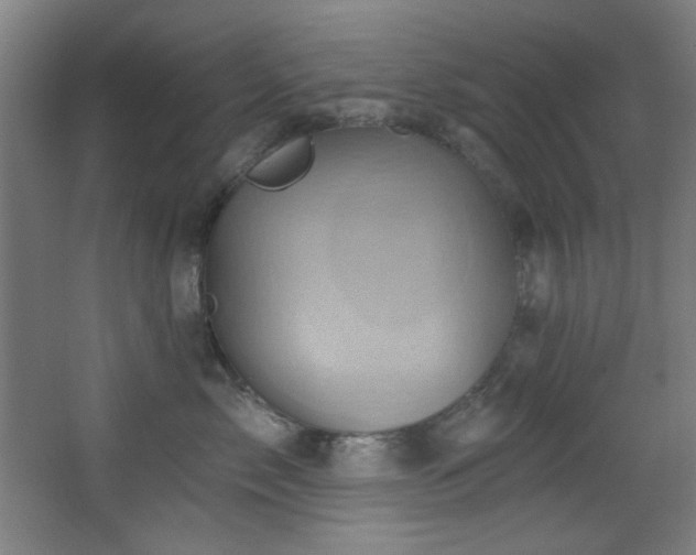X0000068320717200604211205