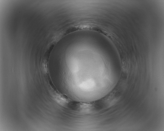 X0000068320718200604211205