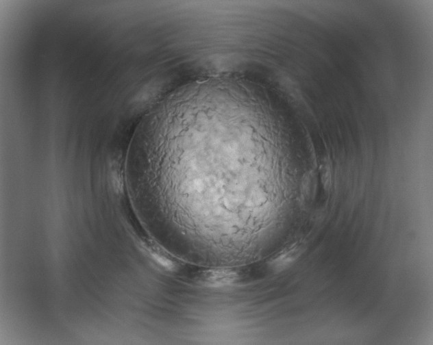 X0000068320719200604211205