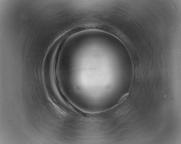 X0000068320722200604211204