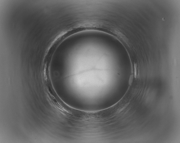 X0000068320723200604211204