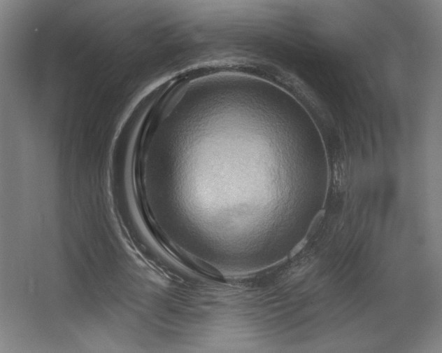 X0000068320724200604211204