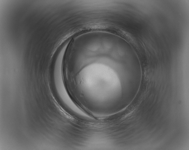 X0000068320725200604211204