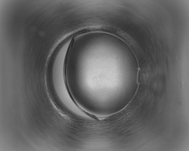 X0000068320728200604211204