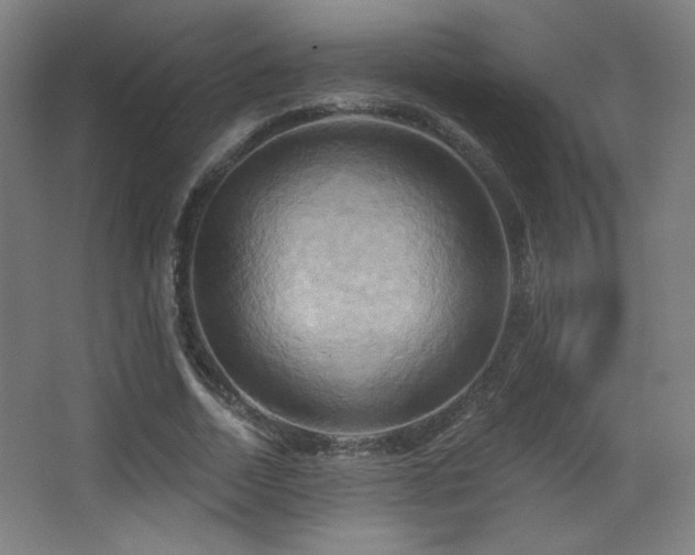X0000068320730200604211204