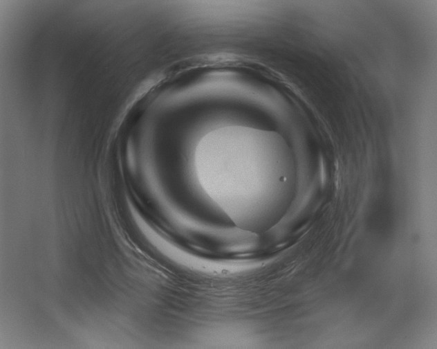 X0000068320731200604211204