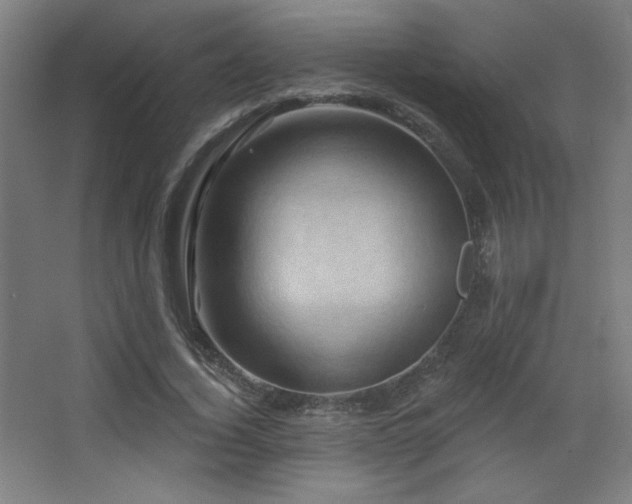 X0000068320732200604211204