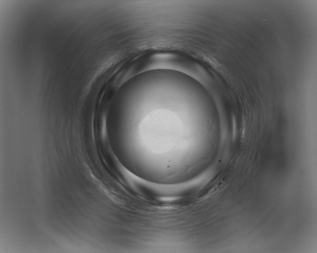 X0000068320735200604211204