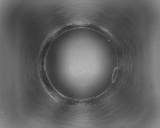 X0000068320736200604211205