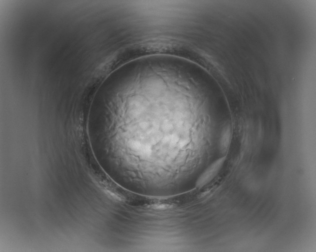 X0000068320737200604211205