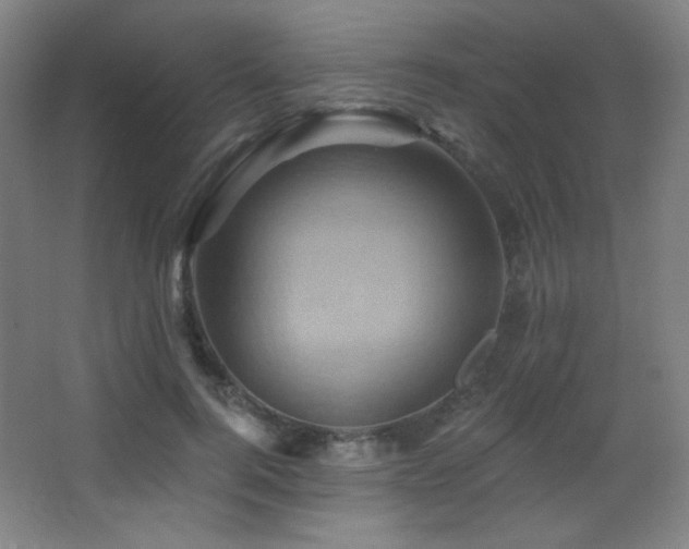 X0000068320744200604211205