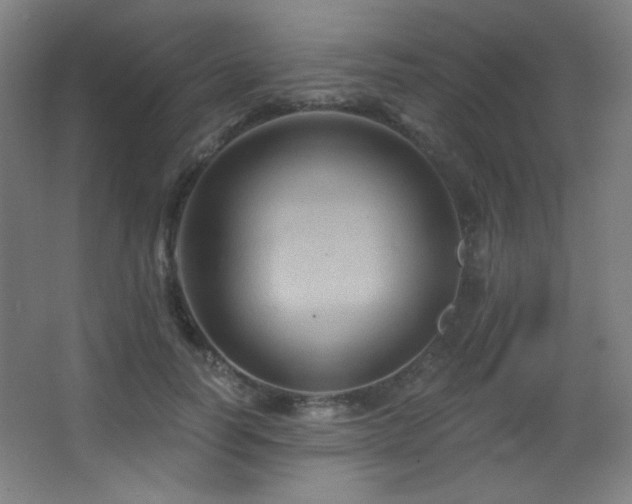 X0000068320746200604211205