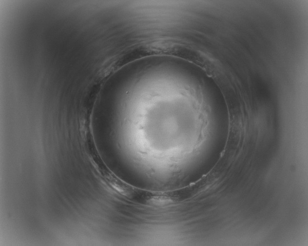 X0000068320749200604211205