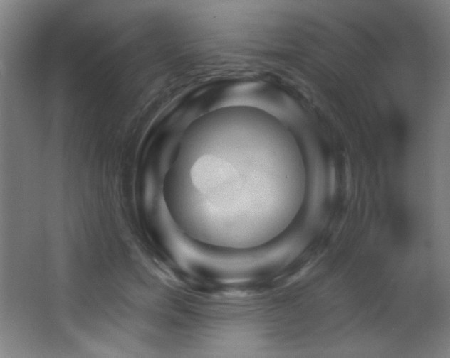 X0000068320750200604211205