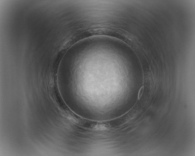 X0000068320751200604211205