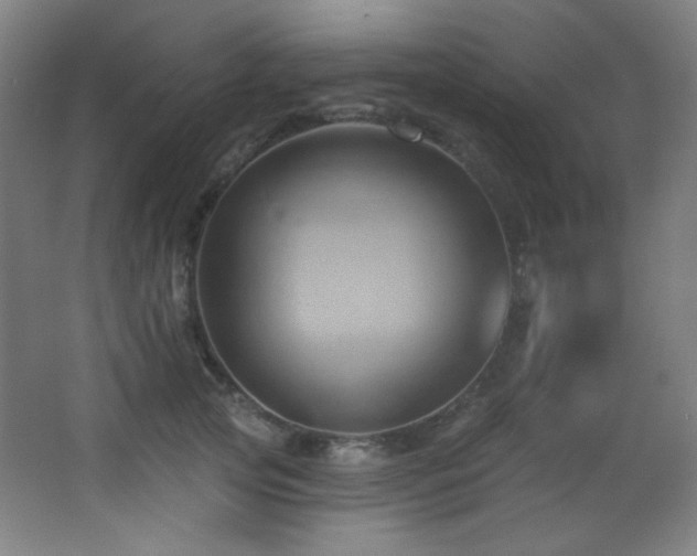 X0000068320753200604211205
