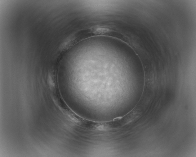 X0000068320755200604211205