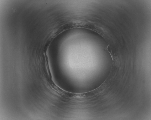 X0000068320756200604211205