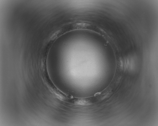 X0000068320759200604211205