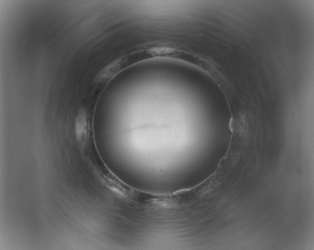 X0000068320763200604211205