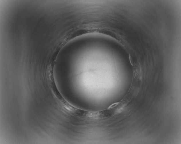 X0000068320767200604211205