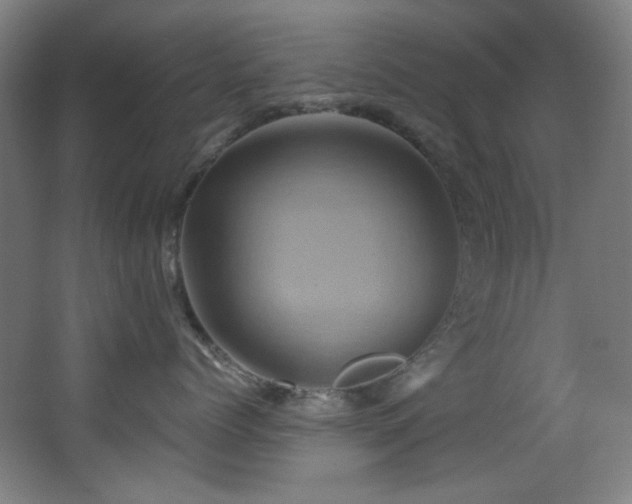 X0000068320768200604211205