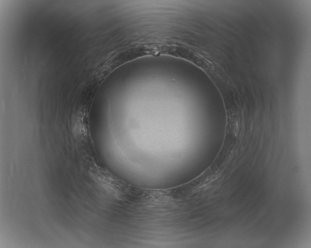 X0000068320770200604211204
