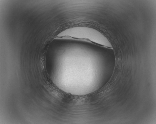 X0000068320772200604211204
