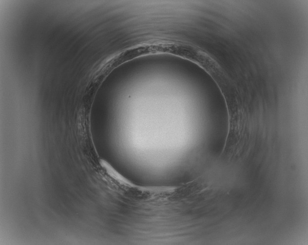 X0000068320773200604211204