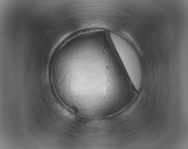 X0000068320780200604211204