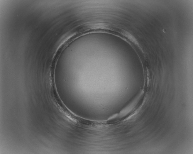 X0000068320782200604211204