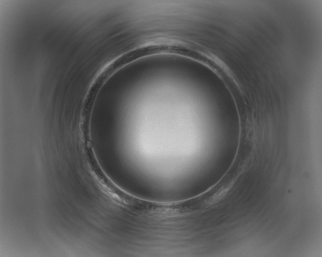 X0000068320783200604211204
