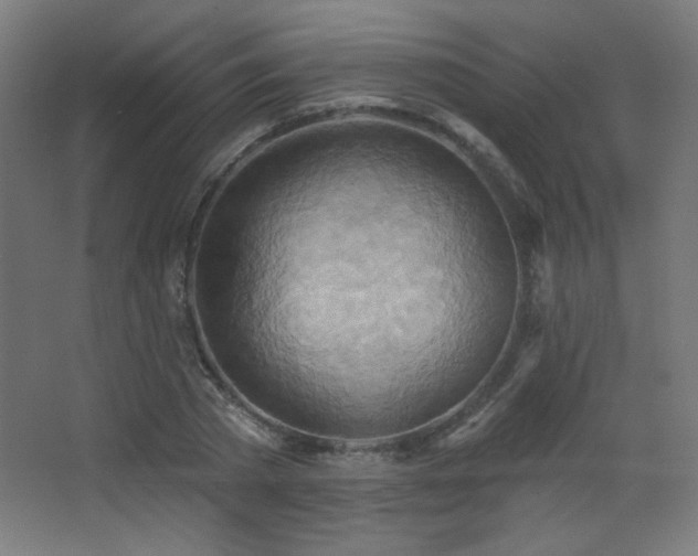 X0000068320785200604211204