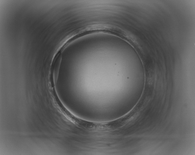 X0000068320786200604211204