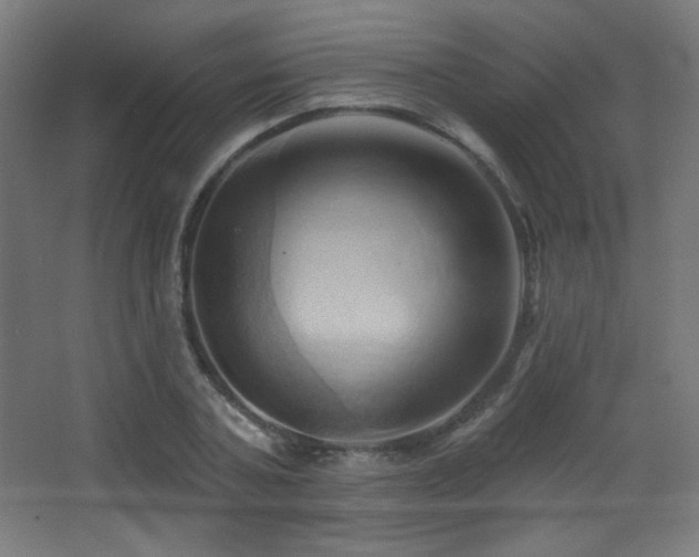 X0000068320787200604211204