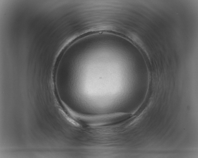 X0000068320789200604211204