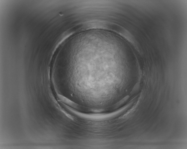 X0000068320790200604211204