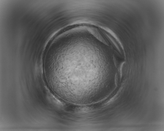 X0000068320791200604211204