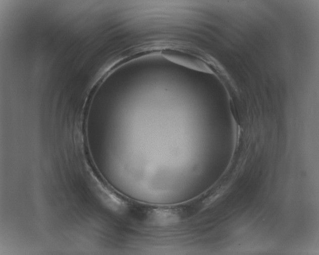 X0000068320794200604211204