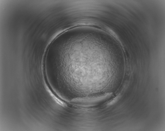 X0000068320803200604211204