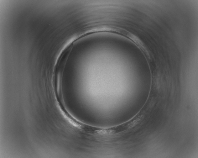 X0000068320805200604211204