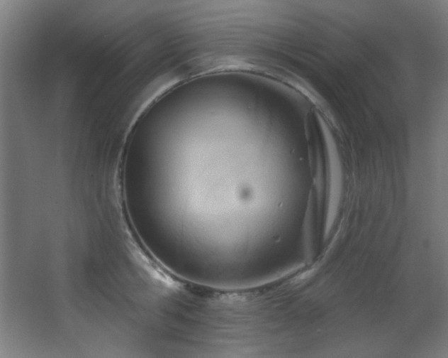 X0000068320806200604211204