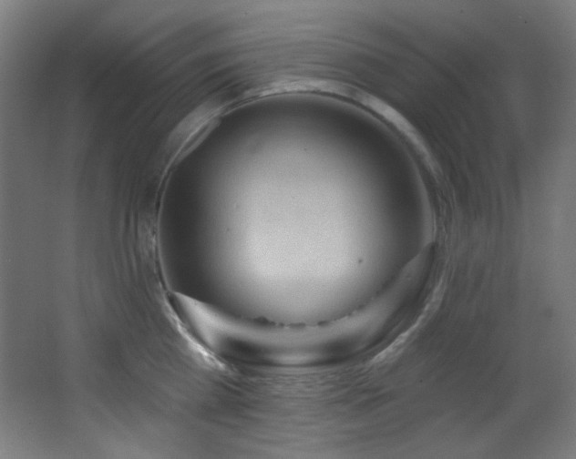 X0000068320809200604211204