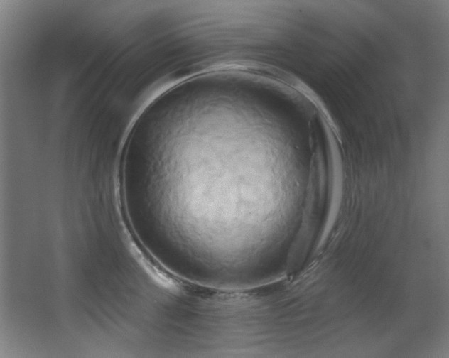 X0000068320811200604211204