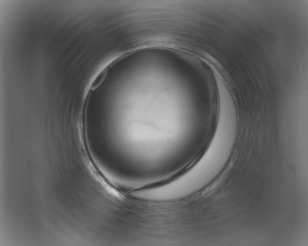 X0000068320812200604211203