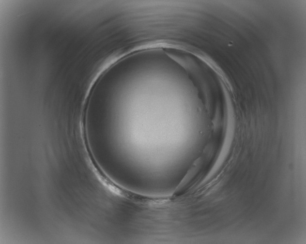 X0000068320813200604211203