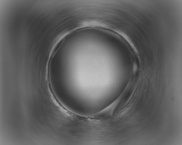 X0000068320815200604211203